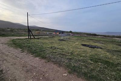 Spațiu comercial, în Central - 3