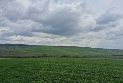 Spațiu comercial, în Cristești - 8