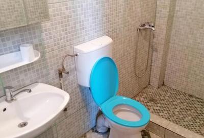 CENTRAL-Pomul Verde 2 cam. pentru firma la 275 euro/luna - 1