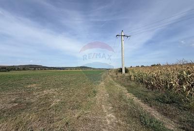 Teren Investitii 1.1 ha |  Bontida-Halta Rascruci - 3