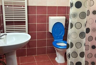 Garsonieră nedecomandată în Tineretului - 4