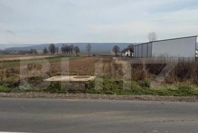 Teren de 1600 mp, în Central