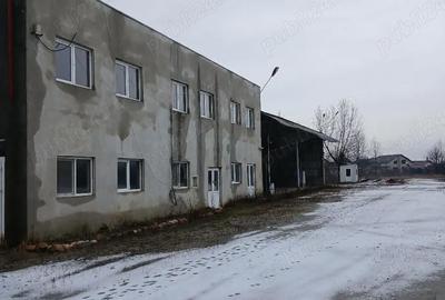 Spațiu comercial, de 20,000 mp, în Drăgăești-Ungureni - 3