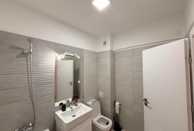 Apartament cu 2 camere decomandat, mobilat în Parcul Carol - 9