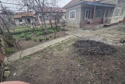 Casă cu Teren 1400 Mp în Dumitrești - 6