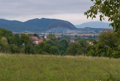 Teren de 2449 mp, în Poiana Angelescu - 7