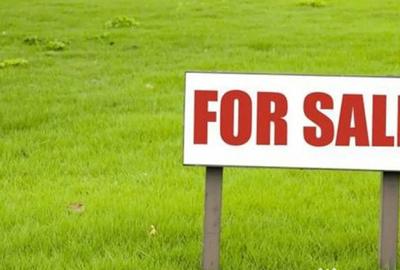 Teren de 5200 mp, în Horodnic - 1