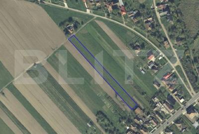Teren de 3600 mp, în Ardud - 1