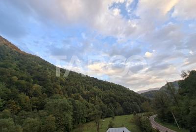 Spatiu de vanzare in Valea Macesului judel Valcea iesire la Lotru - 43