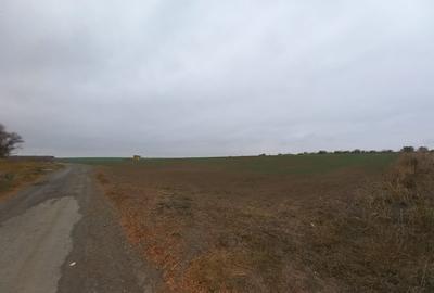 Teren de 403 mp, în Valu lui Traian - 2