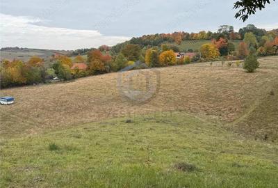 Teren intravilan 17,265 mp in Tomnatic, comuna Vadu Crisului - 6