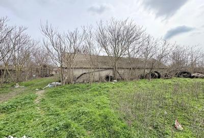 Casă cu 4 camere cu Teren 3747 Mp în Pantelimon - 8