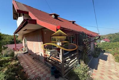 Casa si terasa de vanzare in Magura Bacau - 1