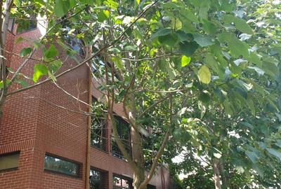 Oportunitate investitie Vila Rosu 473mp, 2500 mp teren, cu deschidere la Lac - 14