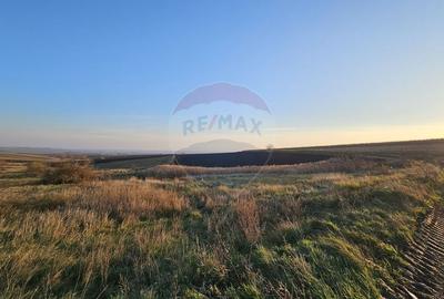 Teren agricol extravilan de 30077 mp, în Stroiești - 8