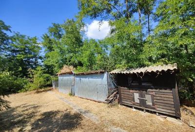 Vând proprietate cu 2 case în Comuna Mănăstirea, Călărași - 11