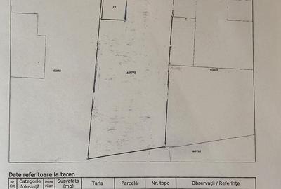 Teren zona Blascovici - 1