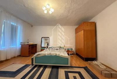 Casa individuala, 1377 mp teren, in Sanandrei - 1