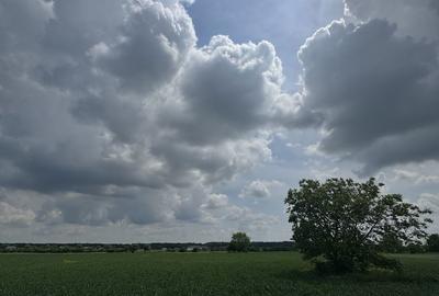 Teren de 1000 mp, în Moara Vlăsiei - 3