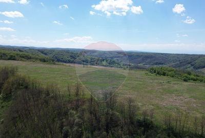 Domeniu - 66 Hectare - Teren deosebit Copsa Mica cu desch... - 21