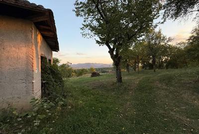 Proprietate la țară cu teren generos - 5