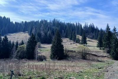 Casă cu 3 camere cu Teren 100 Mp în Burdujeni - 2
