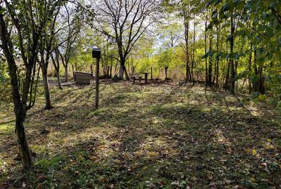 Casa de vanzare + gradina in sat Zagujeni - 1