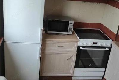 Inchiriere garsoniera in zona Uzina 2 - 1