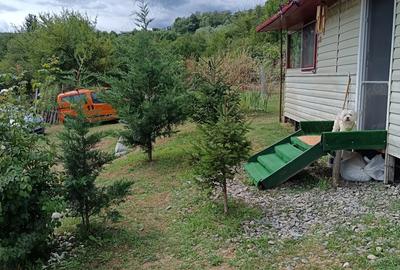 Vind cabana de vacanta in jud.Arges - 5