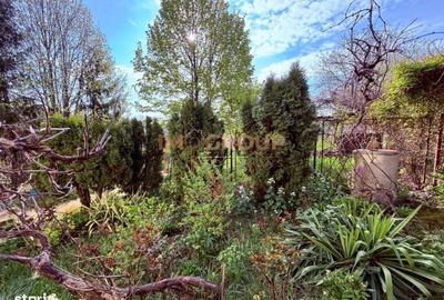 Spațiu comercial, în Nicolina - 7