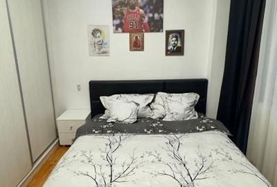 Apartament 3 camere mobilat  aleea Baiut - 12