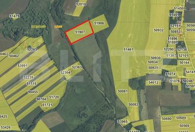 Teren de 17400 mp, în Mociu - 1