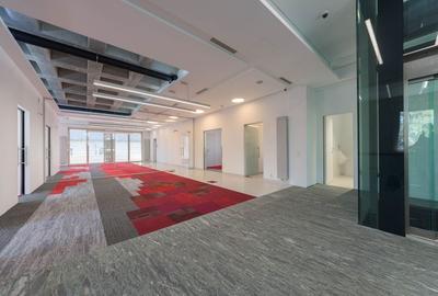 Vila Capo | Luxury offices 1800 mp | Dorobanti Capitale - 8