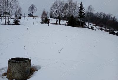 Teren de 3000 mp, în Ciocanu - 3