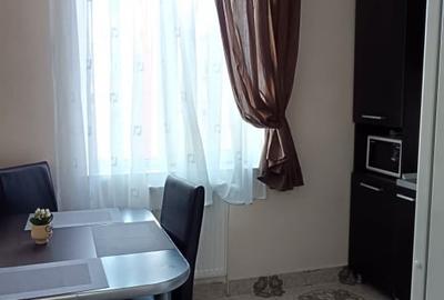 APARTAMENT CU O CAMERA-LA 5 MINUTE DE FSEGA/IULIUS MALL - 7
