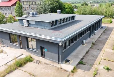 Spațiu industrial, de 800 mp, în Sud-Est - 3