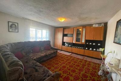 Casa P+M - la strada principala - Dragu?e?ti - 4