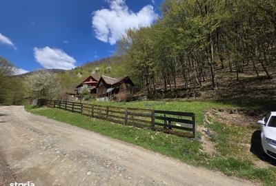 Casă cu 4 camere în Ighiel - 7