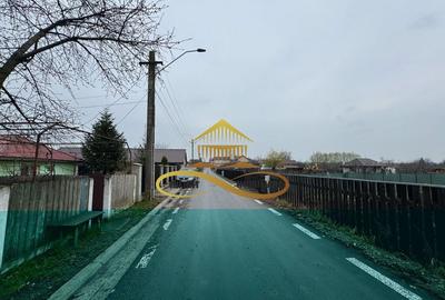 Teren de vanzare Filipesti Bacau 6838 mp - 11