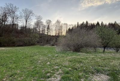 Teren de 5022 mp, în Măliniș - 3