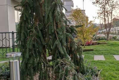 Apartament cu 3 camere decomandat în Grivița - 10