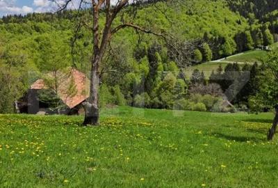 Teren de 3400 mp, în Bran - 5