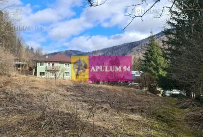 Teren de vânzare în Sinaia - Platou Izvor - 3