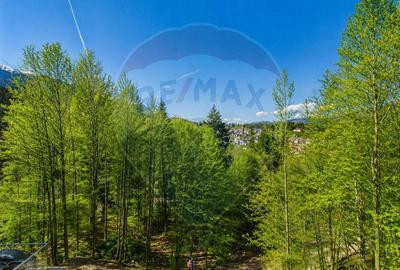 Apartament cu 4 camere decomandat în Calea Moroieni - 17