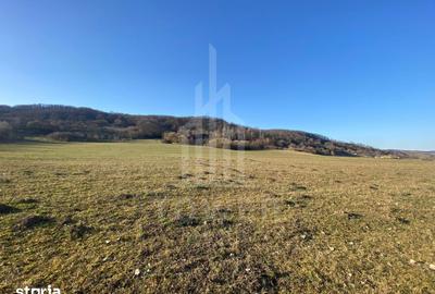 Teren de 7500 mp, în Șelimbăr - 9
