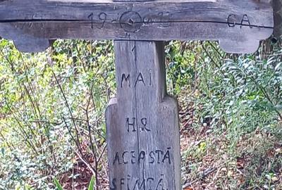 APUSENI! Casa modernizata cocheta, teren imens langa padure, Brad (Hd) - 8