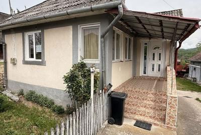 Casă cu 3 camere în Podișu - 4