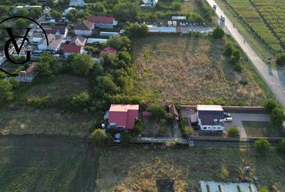 Teren intravilan -2679 mp-Branesti / Islaz - 7