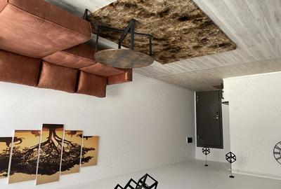 Apartament cu 2 camere semidecomandat în Parcul Carol - 6