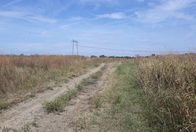 Teren agricol intravilan de 6000 mp, în Bolintin-Vale - 5
